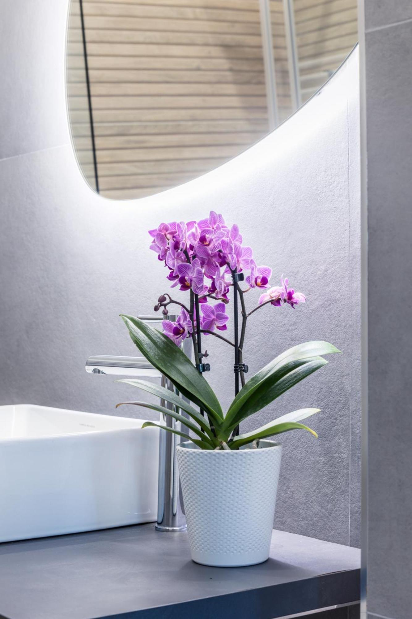 Mhouse Roma Apartment Екстериор снимка